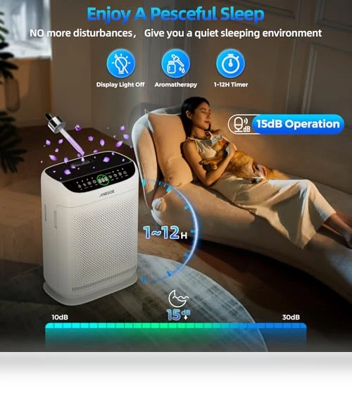 Large Room Air Purifier — Activated Carbon Air Purifiers, AnEgoe