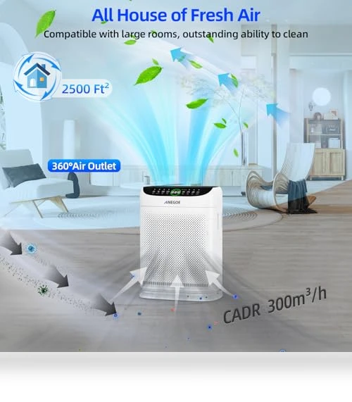 Large Room Air Purifier — Activated Carbon Air Purifiers, AnEgoe