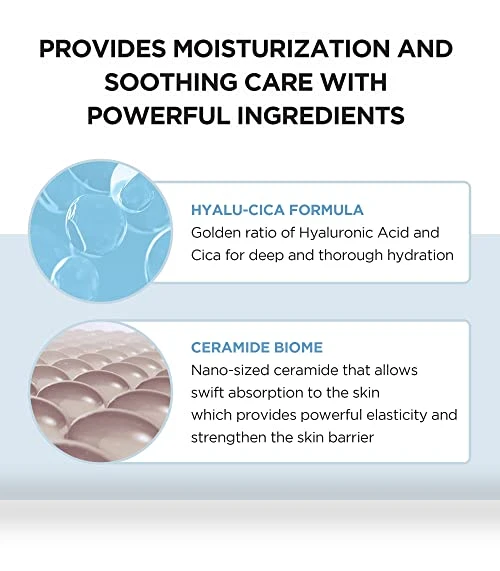 Madagascar Centella Hyalu-Cica Moisture Cream — Creams & Moisturizers, SKIN1004