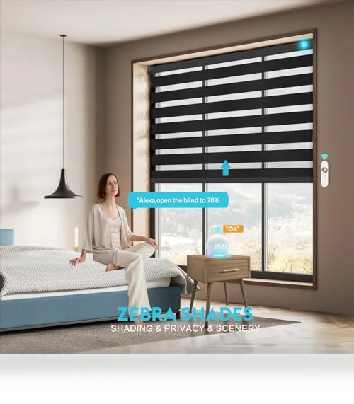 Motorized Zebra Blinds with Remote — Honeycomb, Blindify