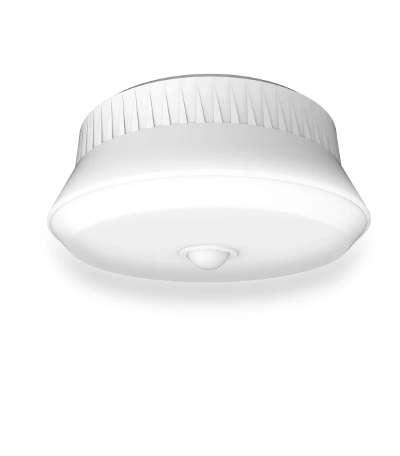 Outdoor Sensor Ceiling Light — Outdoor Security & Flood Lighting, MUSASHI