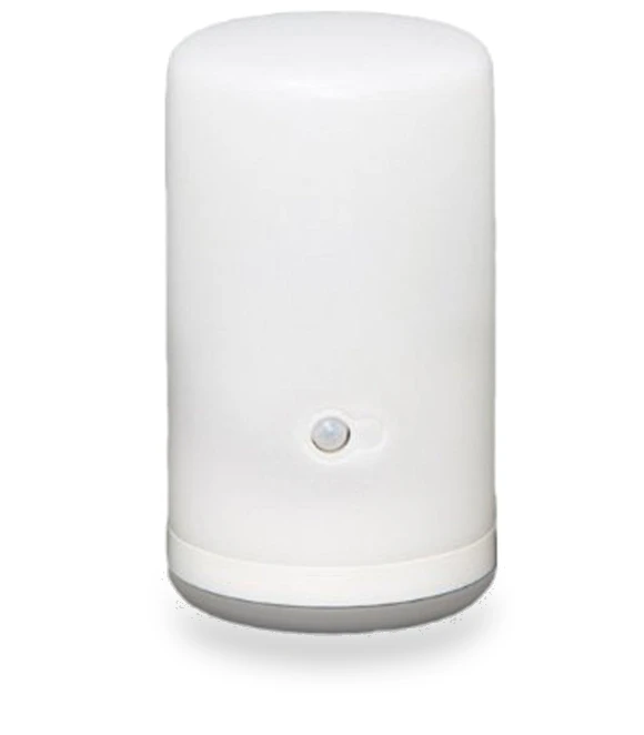 Sensor Light LED Battery Operated — Garden Illumination, IRIS OHYAMA