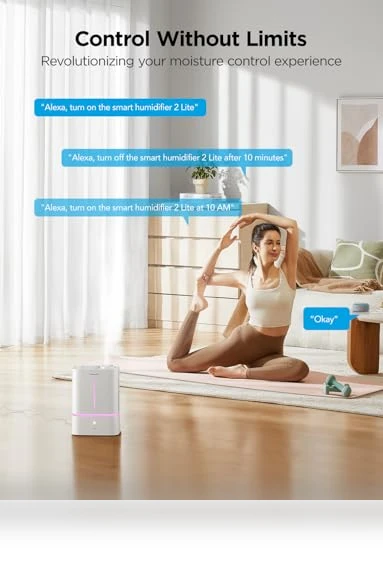Smart Cool Mist Air Humidifier — Air Moisturizers, GoveeLife