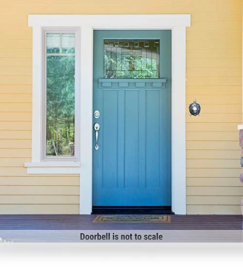 Turtle Doorbell — Push Buttons, Company's Coming