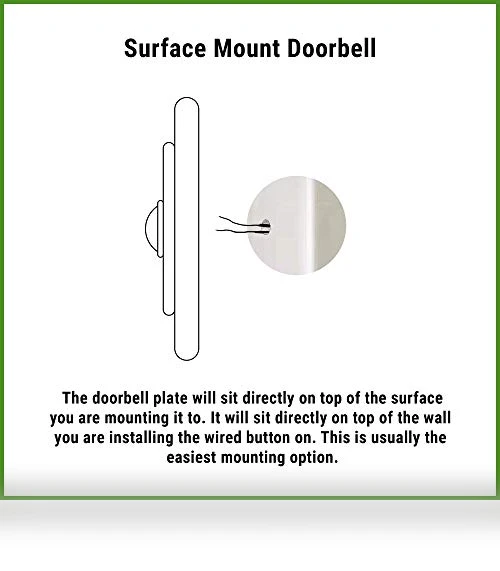 Turtle Doorbell — Push Buttons, Company's Coming