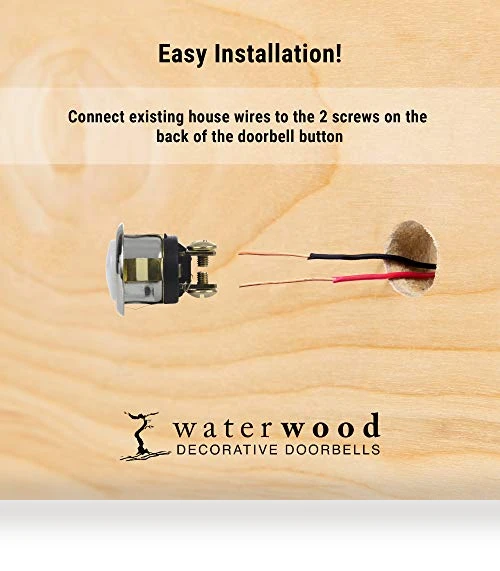 Turtle Doorbell — Push Buttons, Company's Coming