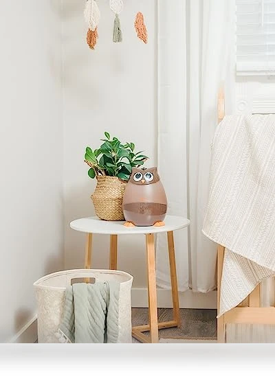 Ultrasonic Humidifier — Air Moisturizers, Crane
