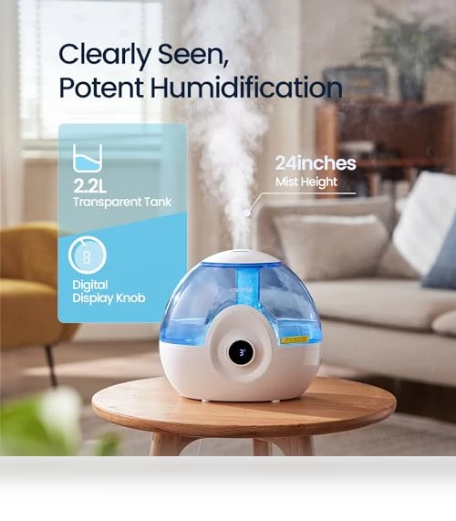 Cool Mist Humidifier — Air Moisturizers, raydrop