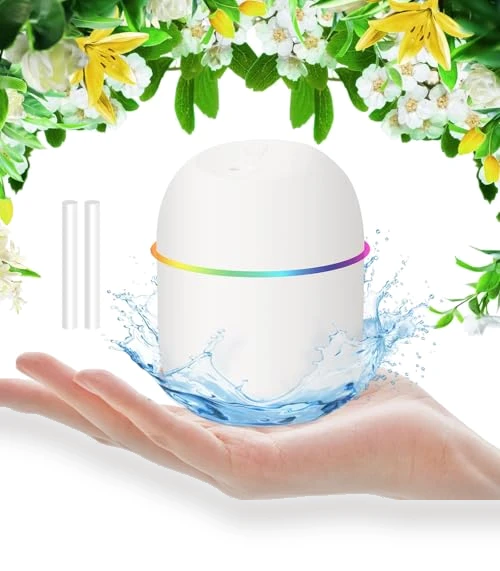 Mini Humidifier — Air Moisturizers