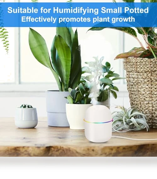Mini Humidifier — Air Moisturizers