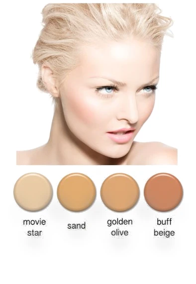 Professional Airbrush Cosmetic Makeup System — Airbrushes, Art of Air