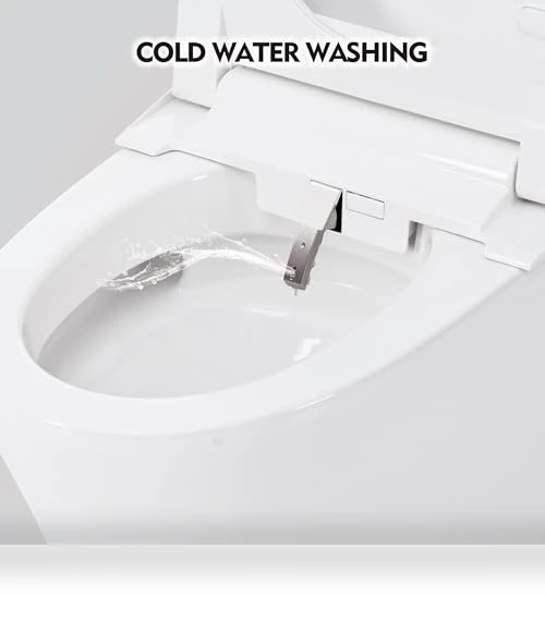 Smart Toilet with Bidet Built in — Bathroom Essentials, Merax