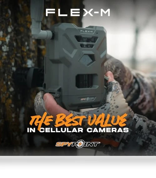 Flex-M Twin Pack Cellular Trail Cameras — Outdoor & Wildlife Cameras, SPYPOINT