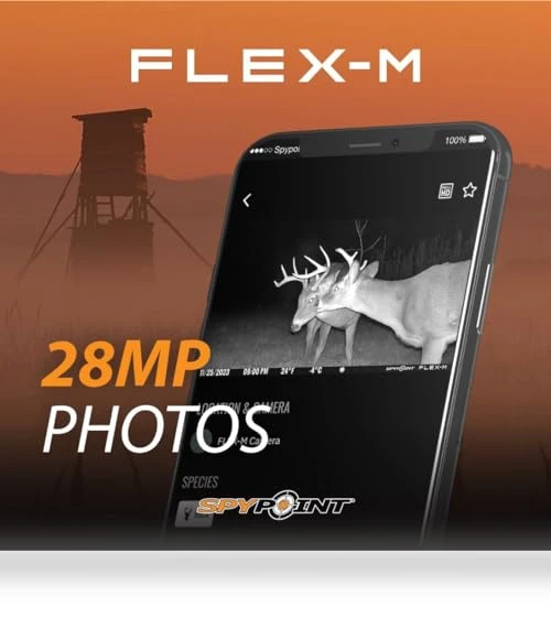Flex-M Twin Pack Cellular Trail Cameras — Outdoor & Wildlife Cameras, SPYPOINT