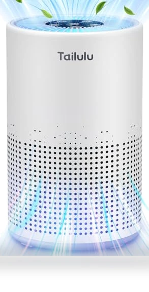 H13 True HEPA Air Filter Portable Air Purifier — Activated Carbon Air Purifiers, Tailulu
