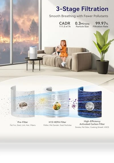 H13 True HEPA Air Filter Portable Air Purifier — Activated Carbon Air Purifiers, Tailulu