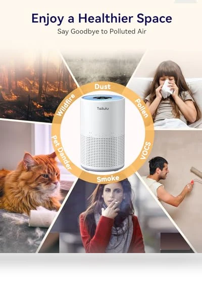 H13 True HEPA Air Filter Portable Air Purifier — Activated Carbon Air Purifiers, Tailulu