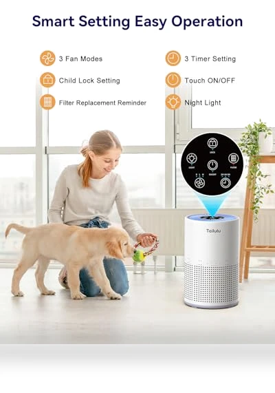 H13 True HEPA Air Filter Portable Air Purifier — Activated Carbon Air Purifiers, Tailulu