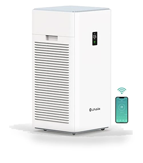 Large Room Air Purifier — Activated Carbon Air Purifiers, Lifubide
