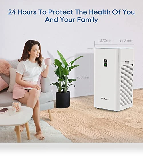 Large Room Air Purifier — Activated Carbon Air Purifiers, Lifubide