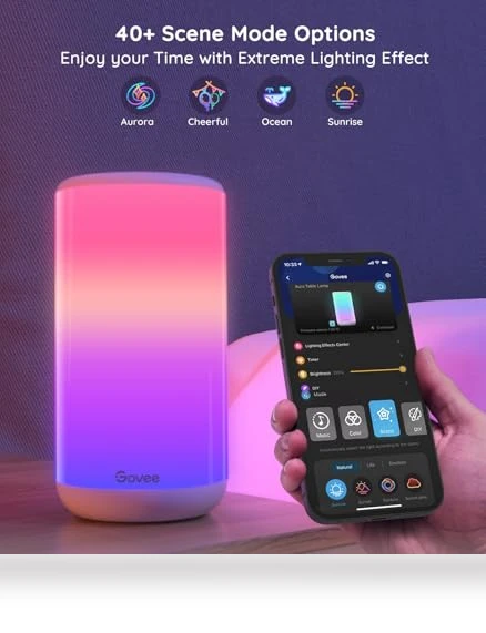 RGBIC Table Lamp — Creative Lighting Solutions, Govee
