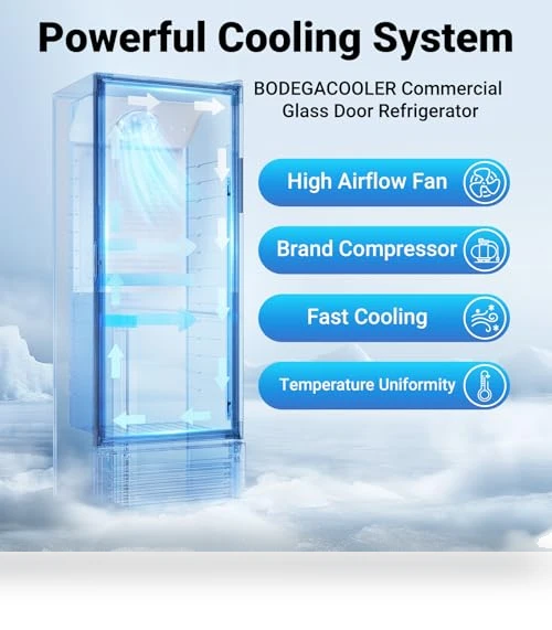 Commercial Beverage Refrigerator and Cooler — Mini Fridges, BODEGA