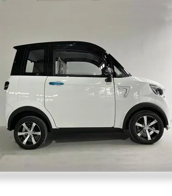Enclosed Two-Seater Electric Mobility Scooter — Electric Self-Balancing Scooters, Cozytrikes.com