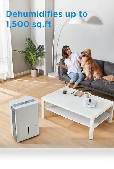 Energy Star Certified Dehumidifier — Air Moisture Control, Midea