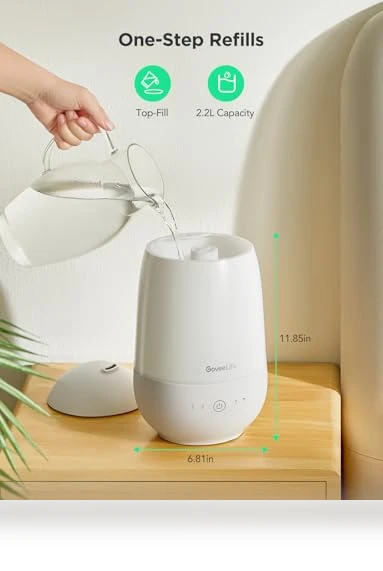 Smart Cool Mist Air Humidifier — Air Moisturizers, GoveeLife