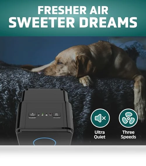 5-In-1 HEPA Air Purifier for Home — Activated Carbon Air Purifiers, GermGuardian