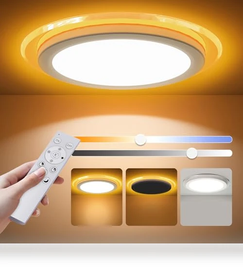 Flush Mount LED Ceiling Light with Nightlight — Overhead Lighting, Aphyni