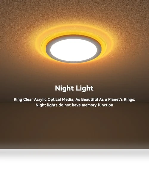 Flush Mount LED Ceiling Light with Nightlight — Overhead Lighting, Aphyni