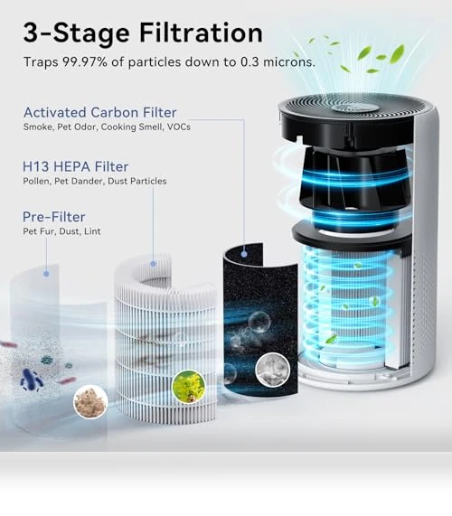 HEPA Air Purifier for Large Rooms — Activated Carbon Air Purifiers, Tailulu