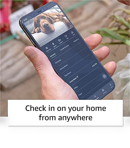 Household robot for home monitoring — Smart Home Security, Amazon