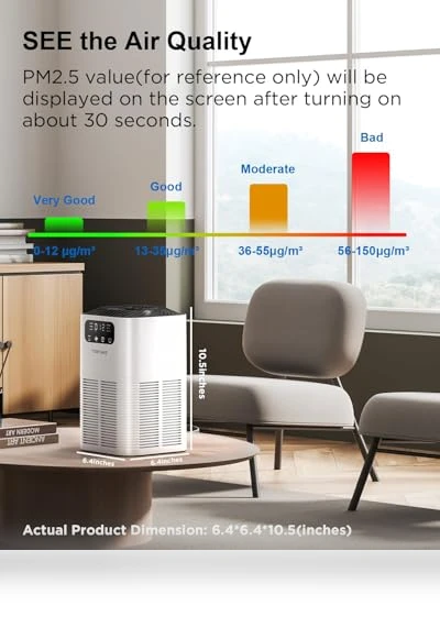 Large Room Air Purifier with H13 True HEPA Filter — Activated Carbon Air Purifiers, TDBYWAE