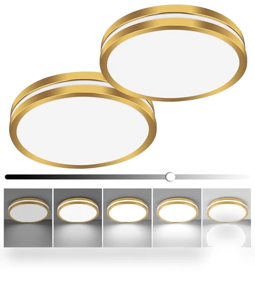 Flush Mount LED Ceiling Light — Overhead Lighting, Hlite