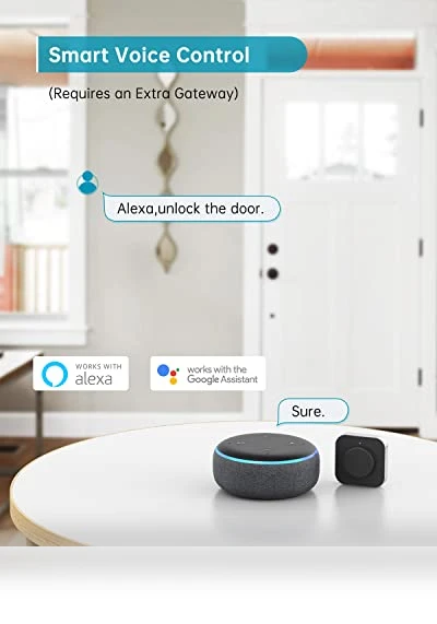 Smart Deadbolt — Padlocks & Hasps, HEANTLE