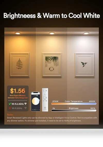 Smart Recessed Lighting — Recessed Lighting, Lumary