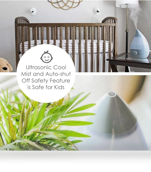 Ultrasonic Teardrop Cool Mist Humidifier — Air Moisturizers, Crane
