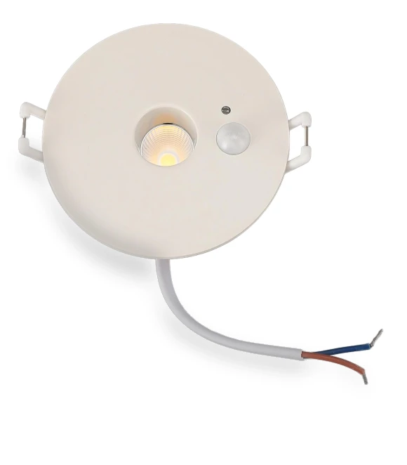 Ceiling Light PIR Motion Sensor LED Downlight — Overhead Lighting, CosyHome