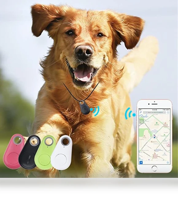 Mini GPS Tracker for Pets — Location Tracking Devices, Wrigleys