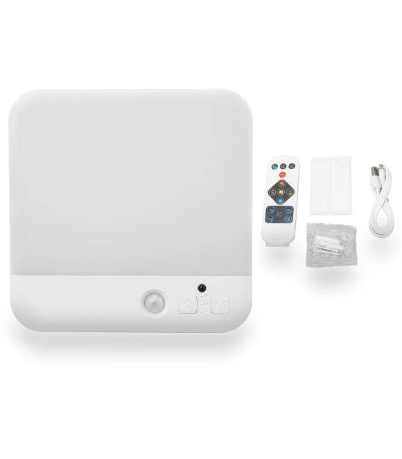 Motion Sensor Ceiling Light — Garden Illumination, CosyHome