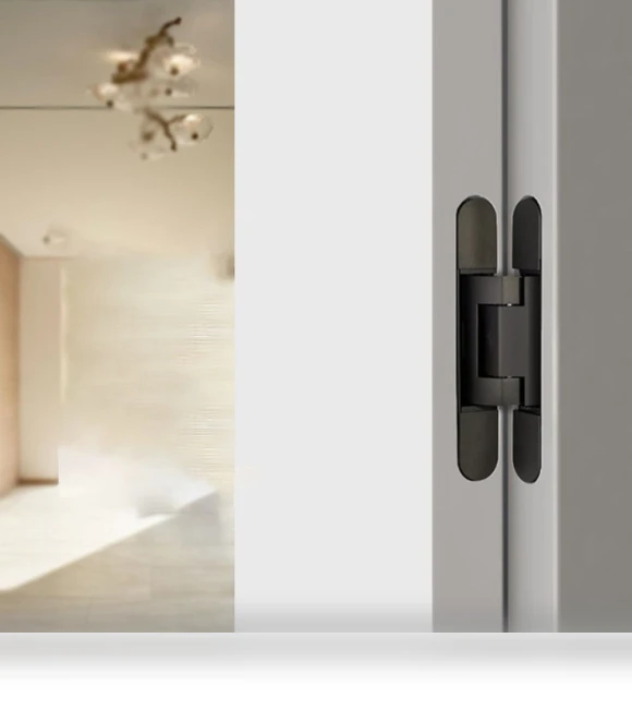 Silent Closing Invisible Door Hinge Folding Device for Automatic Door Closing — Hinges, hentongcar