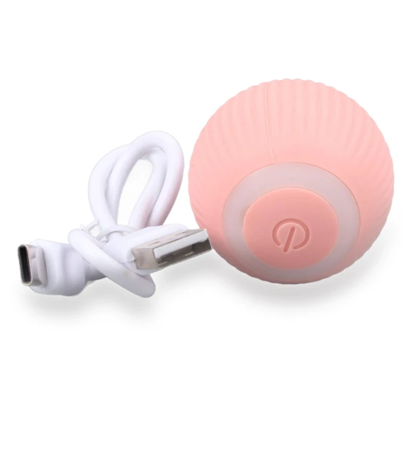 Electric Smart Squeaky Interactive Fun Teeth Grinding Ball Toy — Balls, Health & Beauty PRODUCT