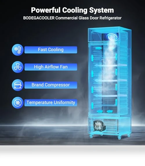 Commercial Beverage Refrigerator and Cooler — Drink Coolers, BODEGA
