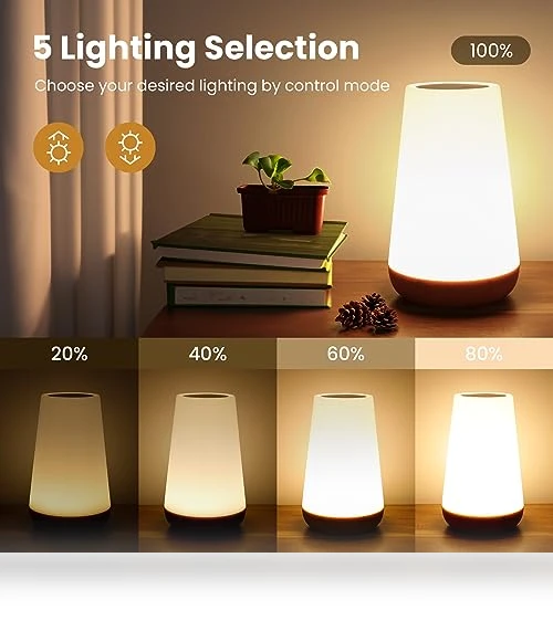 Dimmable Touch Lamp — Lamps & Shades, THAUSDAS