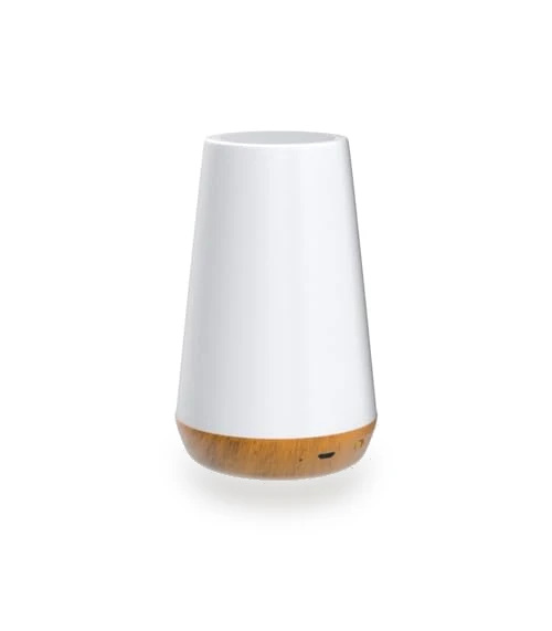 Dimmable Touch Lamp — Lamps & Shades, THAUSDAS