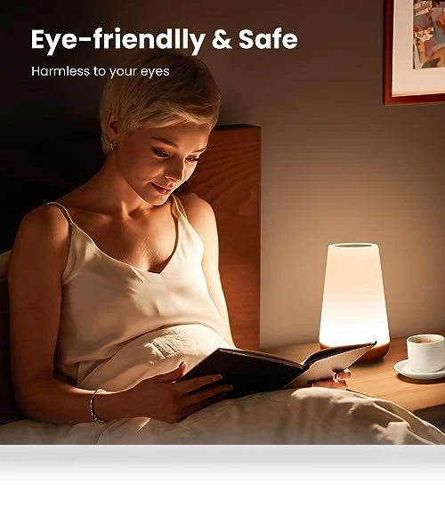 Dimmable Touch Lamp — Lamps & Shades, THAUSDAS