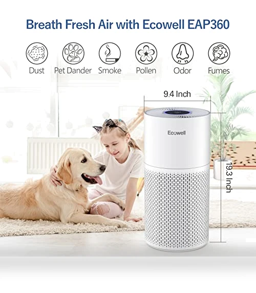Large Room Air Purifier with Air Quality Sensor — Activated Carbon Air Purifiers, ECOWELL
