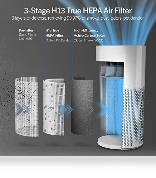 Large Room Air Purifier with Air Quality Sensor — Activated Carbon Air Purifiers, ECOWELL